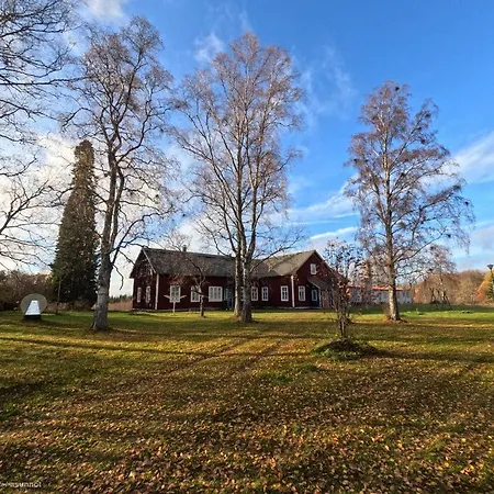 Kyyveden Kartano Kamomilla 16