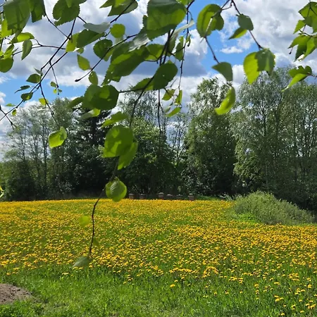 Kyyveden Kartano Kamomilla 16 Διαμέρισμα *