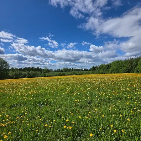 Kyyveden Kartano Kamomilla 16 Daire
